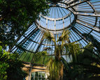 Nationale Kunst & Cultuur Cadeaukaart Amsterdam Hortus Botanicus Amsterdam (geen e-vouchers)